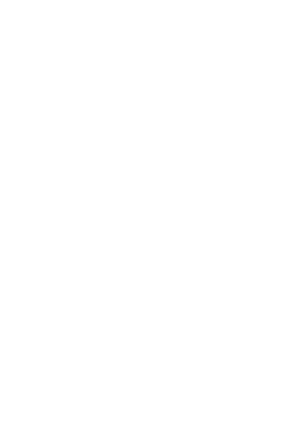 In the United States, the technological advances occurring have had an enormous impact on the passenger rail car industry by allowing vehicles to be safer, more reliable and more efficient. In addition, the U.S. government has passed laws requiring the transit authorities to provide these safety features implemented on the existing fleet. The combination of the availability of new technologically advances and stricter government regulations has facilitated many transit authorities within the U.S. to procure new vehicles. This has created an enormous opportunity for TRDI to implement its business strategy to solve many major issues facing the transit authorities and governments in the U.S. and around the world. 